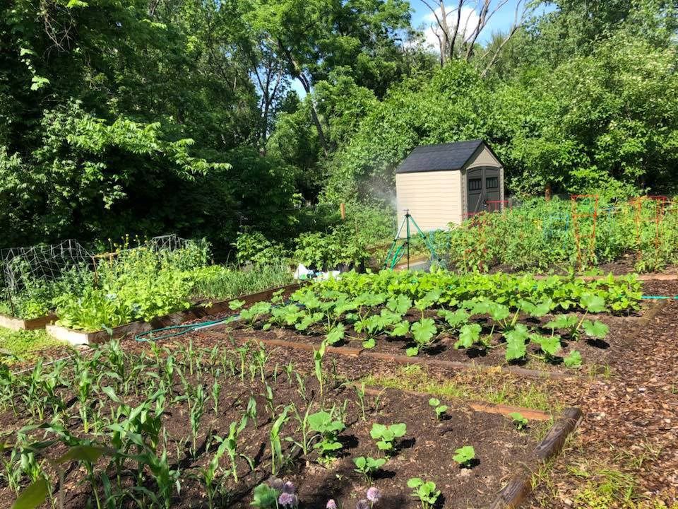 Suburban Backyard Garden